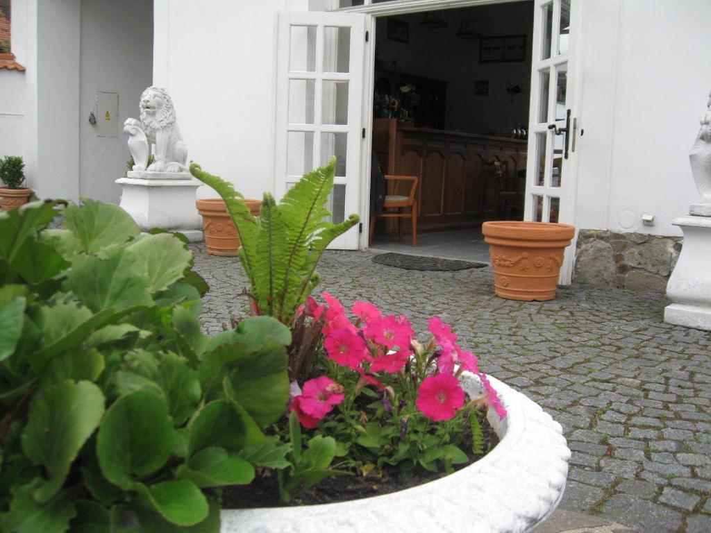 Pension Sejko Horní Planá Habitación foto